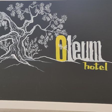 Hotel Oleum เบลชิเต ภายนอก รูปภาพ